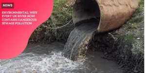 Sewage Pollution